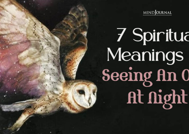 Seeing an Owl at Night Spiritual Meaning Explained Today