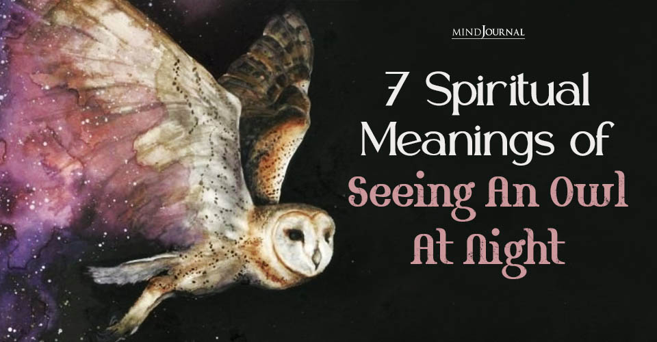 Seeing an Owl at Night Spiritual Meaning Explained Today