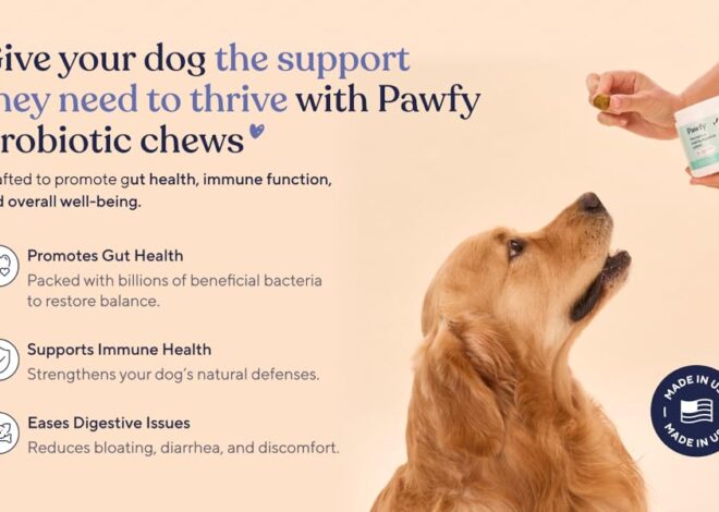 Pawfy Allergy and Immune Gains Attention as Pet Health Trend Grows