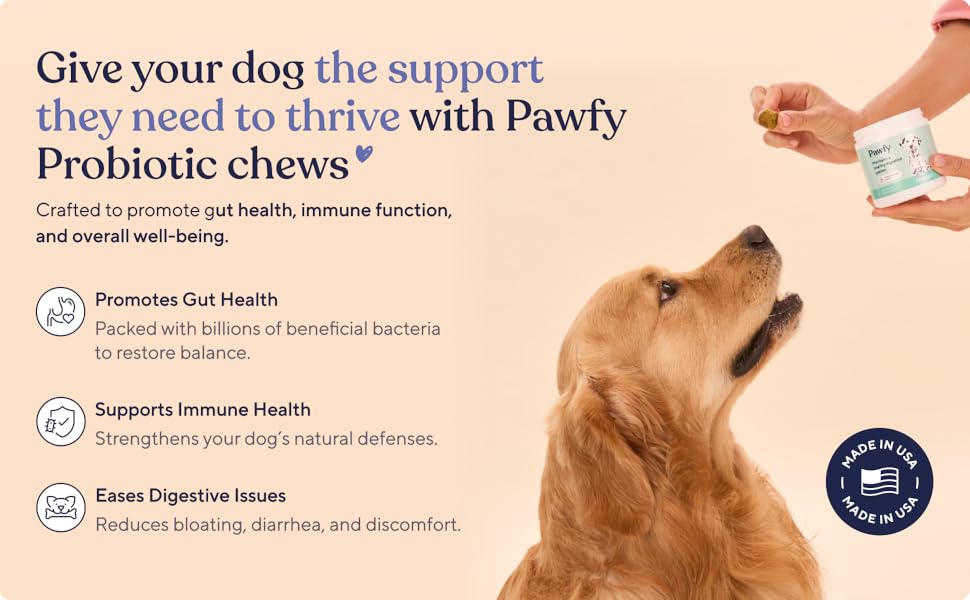 Pawfy Allergy and Immune Gains Attention as Pet Health Trend Grows